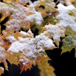 Wettervorhersage: Neue Woche bringt Schnee nach Bayern