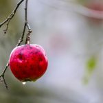 Wettervorhersage: Schnee, Wind und Regen in Baden-Württemberg erwartet